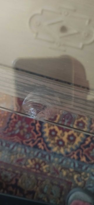 Ниска холна маса Венге ПДЧ и Стъкло 120 х 60 х 41см височина