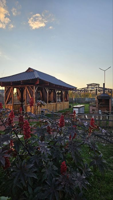 Коттедж посуточно