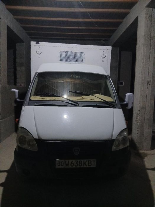 gazel sotiladi olaydigan tel qilsin