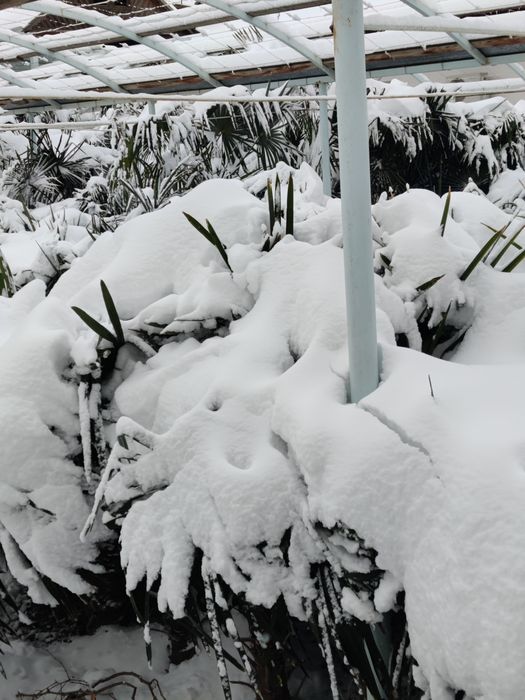 Olivia Wilde erotik video onlayn