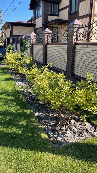 Озеленение | газон | автополив