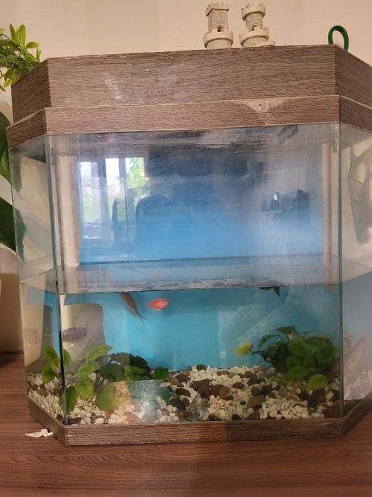 Срочно Аквариум продам