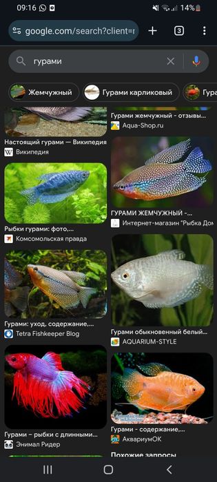 Продам аквариум  на 80 и 60  литров