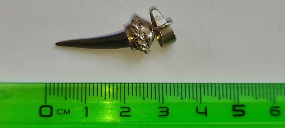 Амулет - ЗУБ древней акулы с серебряным наконечником