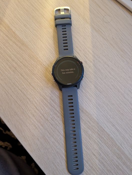Garmin Forerunner 255