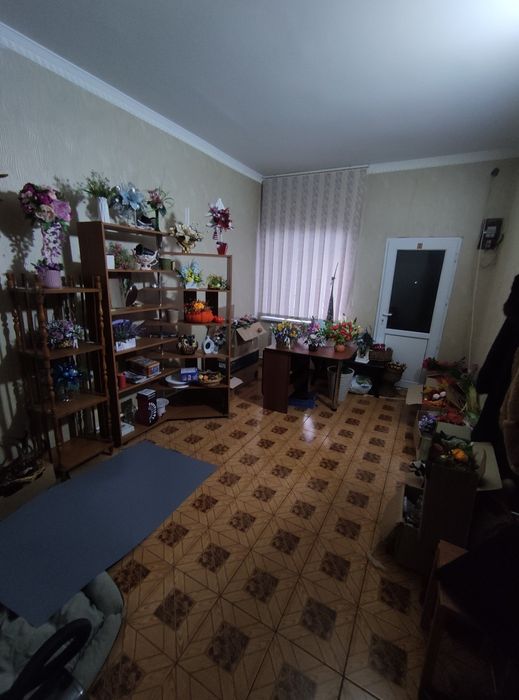 Продам дом в  черте города экологически ч