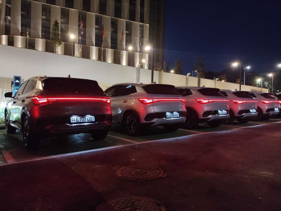 BYD Bizness xizmati