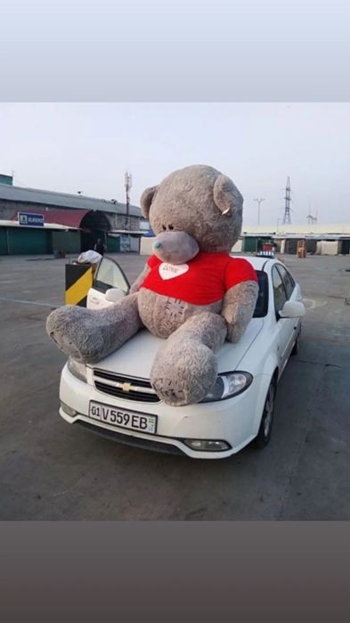 Teddy Shar Шар Mandarin buket Kapalakli gul Kapalakli buket Gul kapala