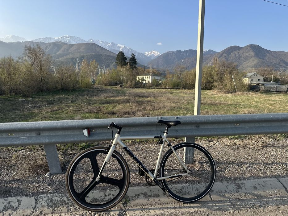 Fixed gear modric ms100