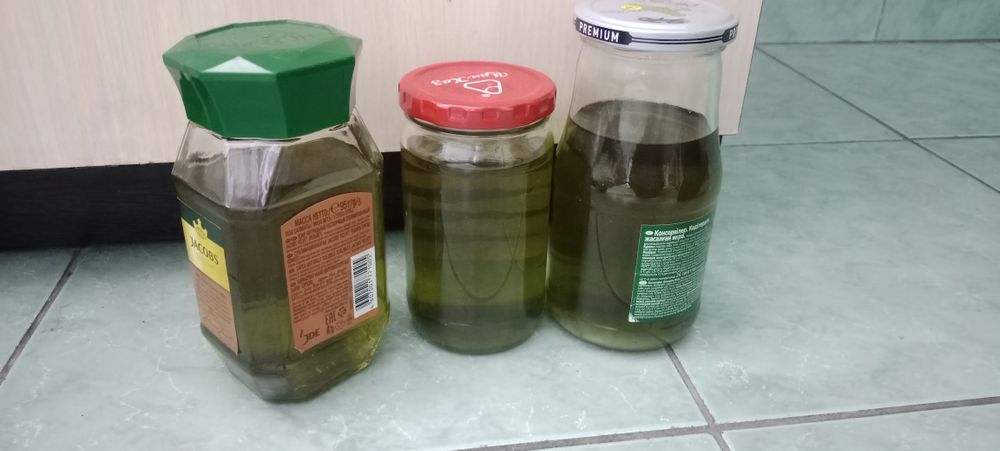 Индийский лук.  Настойка.