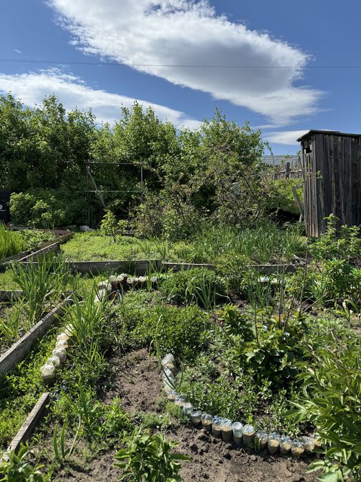 Продам дачу с баней