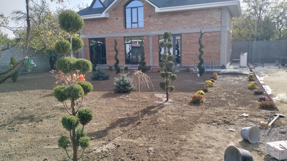 Газон/Автополив г.Шымкент