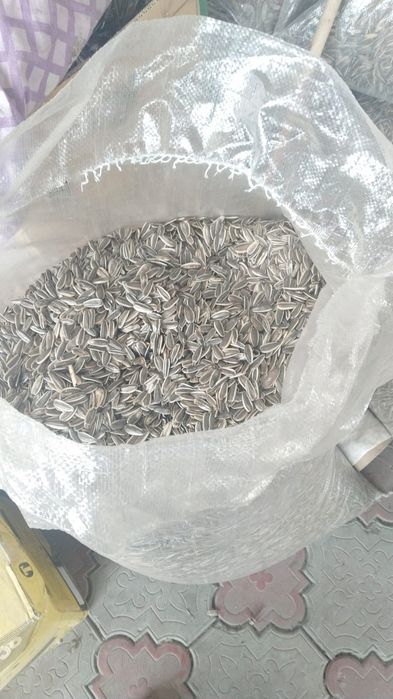 Продам семечки полосатые