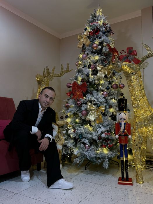 Ведущий,шоумен, новый год