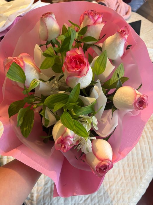 Бүгінгі свежый гул!