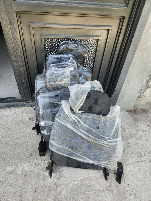Sideniya damaz orta kichkini