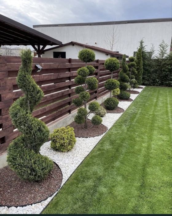 Amenajare gradina cu gazon rulou si plante ornamentale