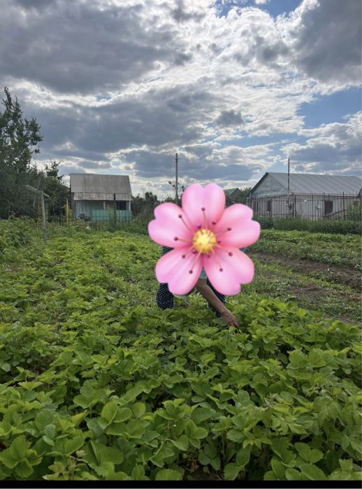 Продам дачу с времянкой. 6 соток.