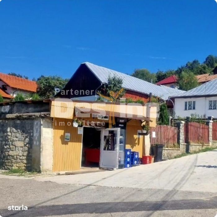 Vand Casa In Localitatea Valea Doftanei