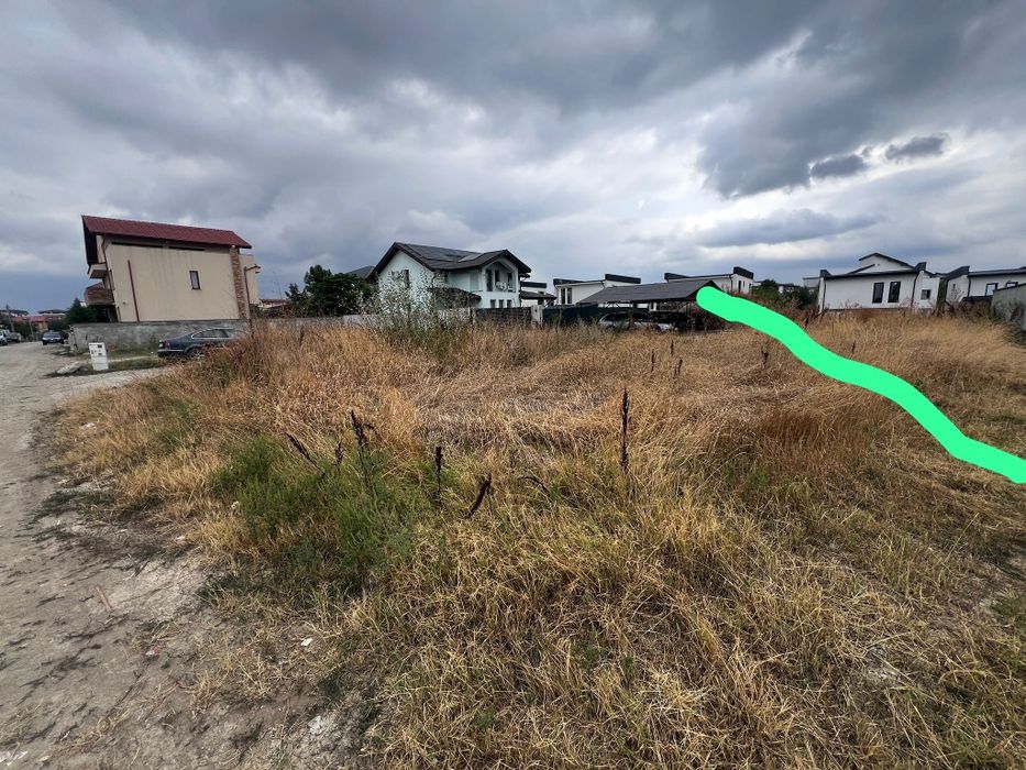 Curatare vegetatie, Salubrizare Igienizare, Defrisare Tocare crengi