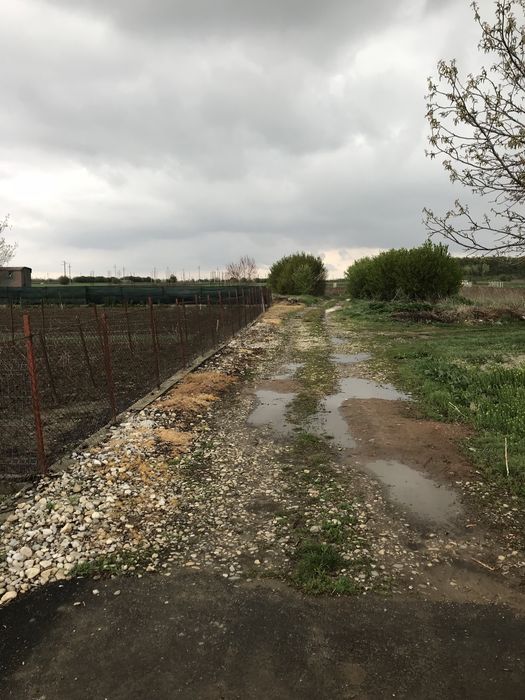 Teren la 15 km de Bucuresti (dupa Ciorogarla) la Tantava,superb