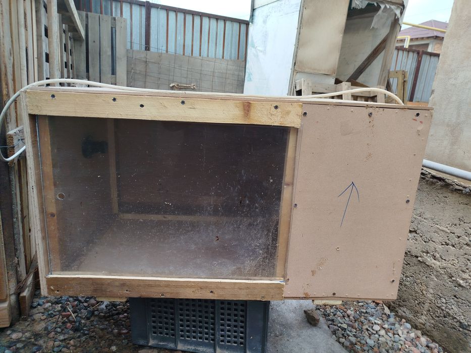 Брудер для цыпляты