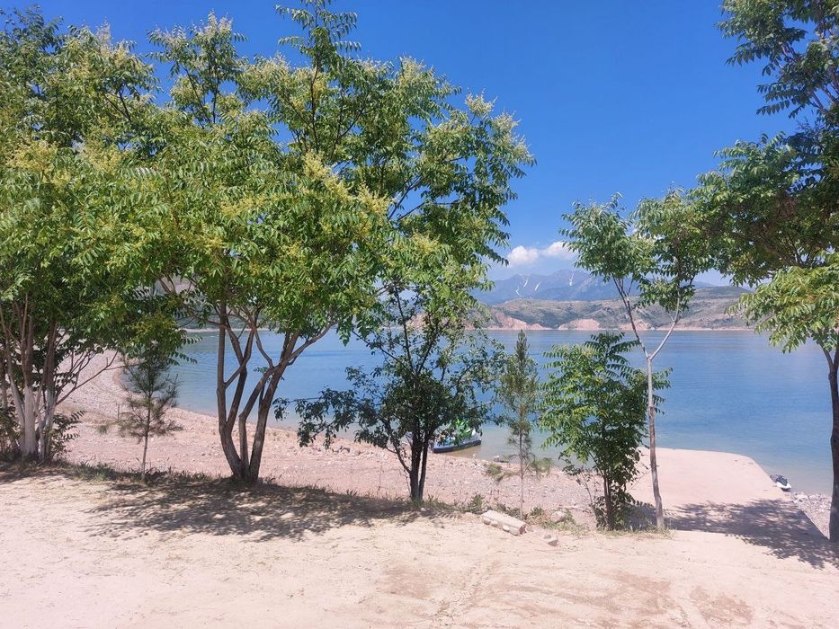 Oq qum plyajidan tapchanlar!