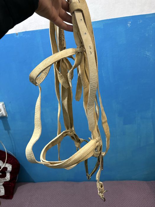 Өмілдірік құйысқан жүген ноқта