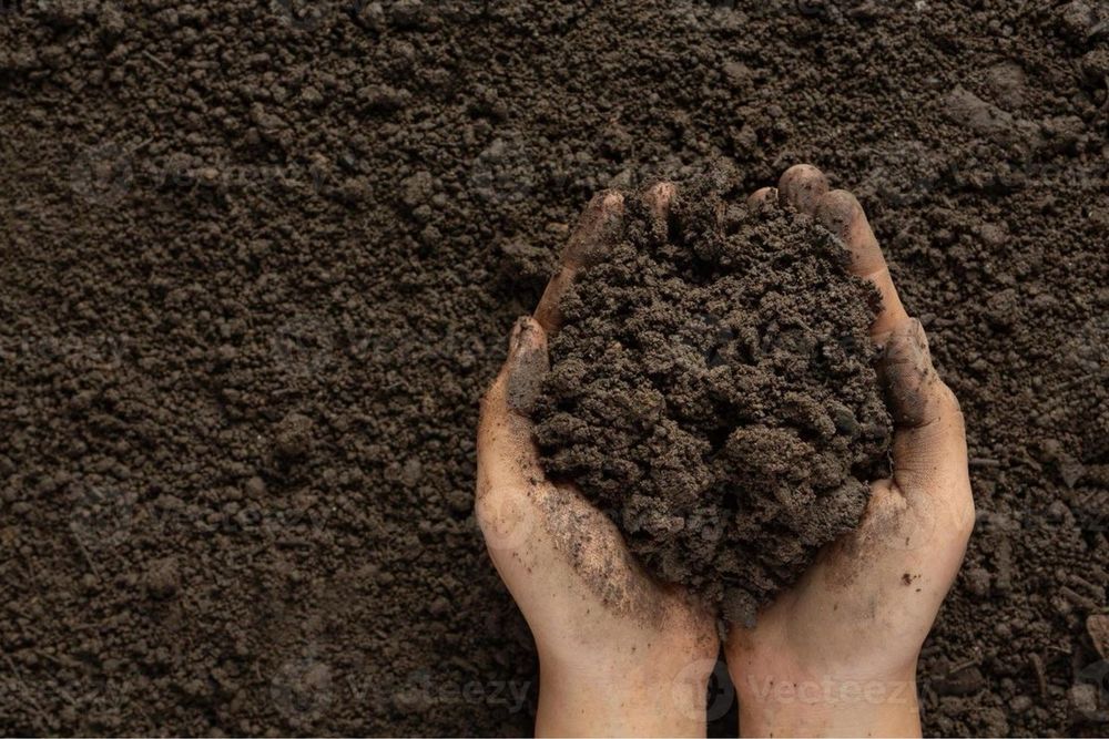 Pământ vegetal pentru grădina și Mranita naturală