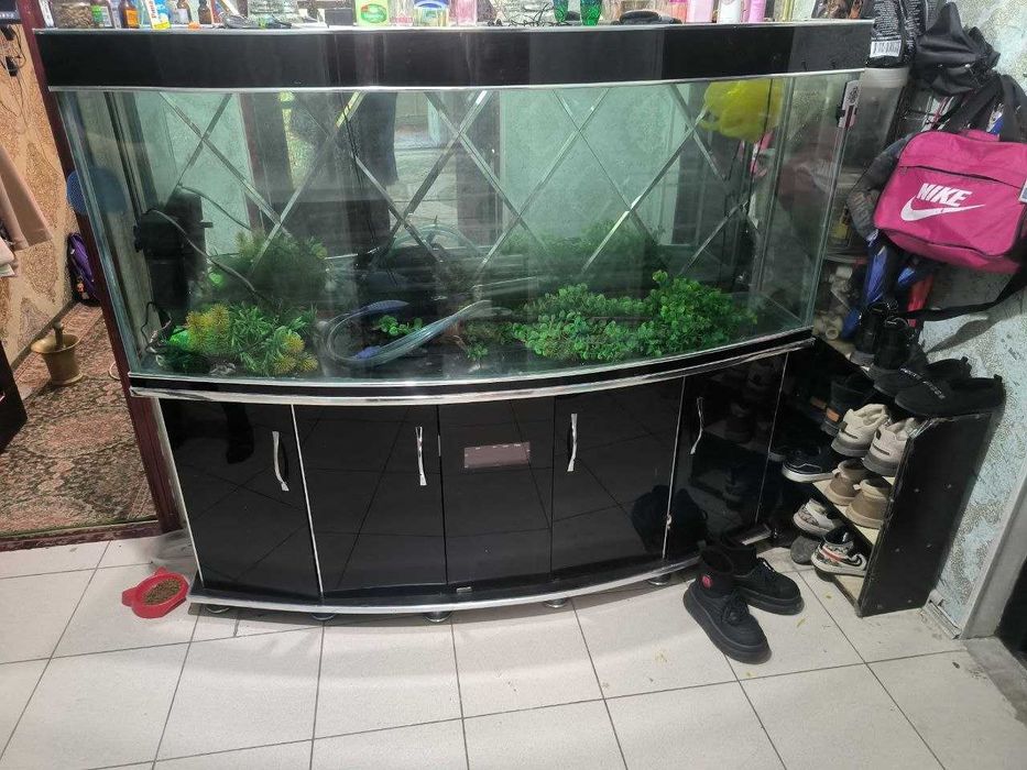Аквариум 600 литров + аксессуары