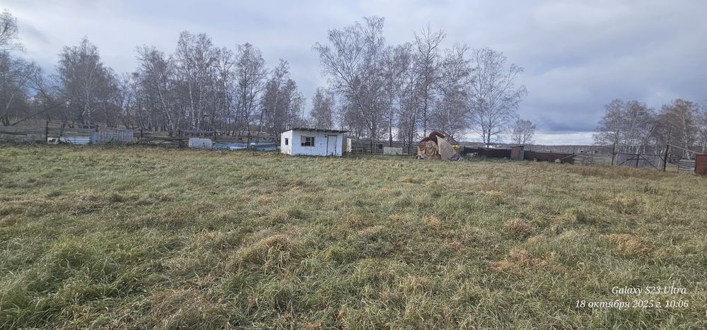 Продам животноводческую базу