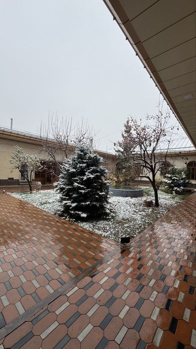 Дом 9,5 соток. Можно под бизнес!