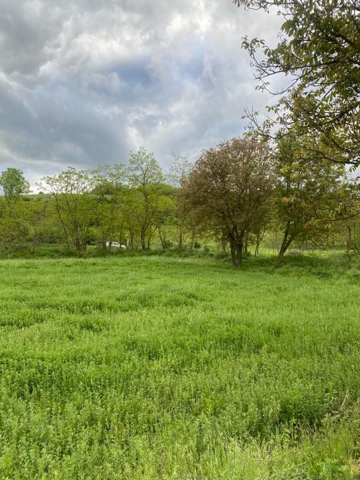 Vand Teren in Stejeris