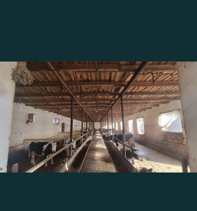 Bino ijaraga berladi 18 sotik + 20 sotik zaxvat bor