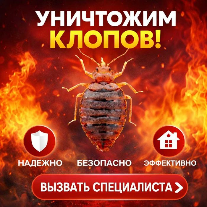 Уничтожение тараканов и клопов в квартире. От 15000 ₸