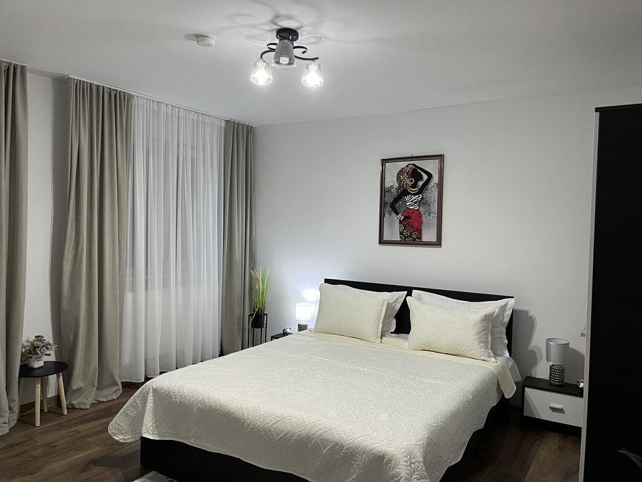 Casa Bocan Cazare si cu card de vacanta  Geoagiu -Bai Casa Bocan