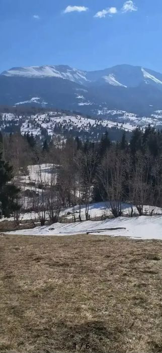 Teren intravilan,intabulat,Borsa Maramures 3900mp 50000€
