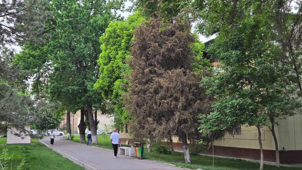 продам срочно мою в центре Ташкента 2/3/3 Яккасарай  Метро Космонавтов