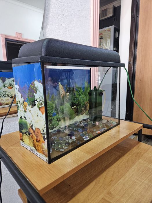 Аквариум новый в