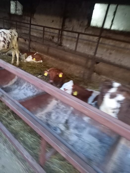 Продава ферма / Замеделски имот..