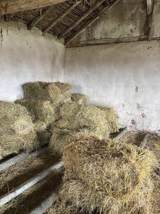 Продавам бали С. Добри дол