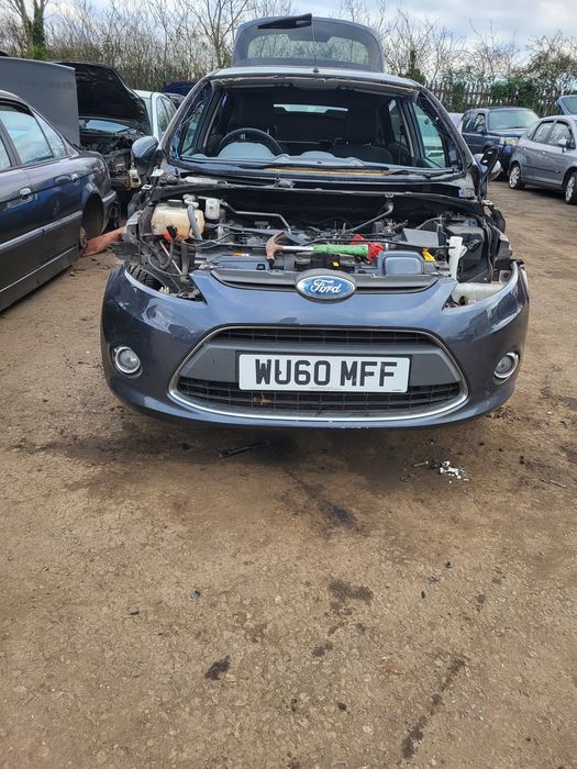 Bara fata fkrd fiesta an 2010