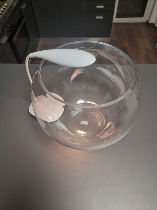 Acvariu bol betta +lampa nou