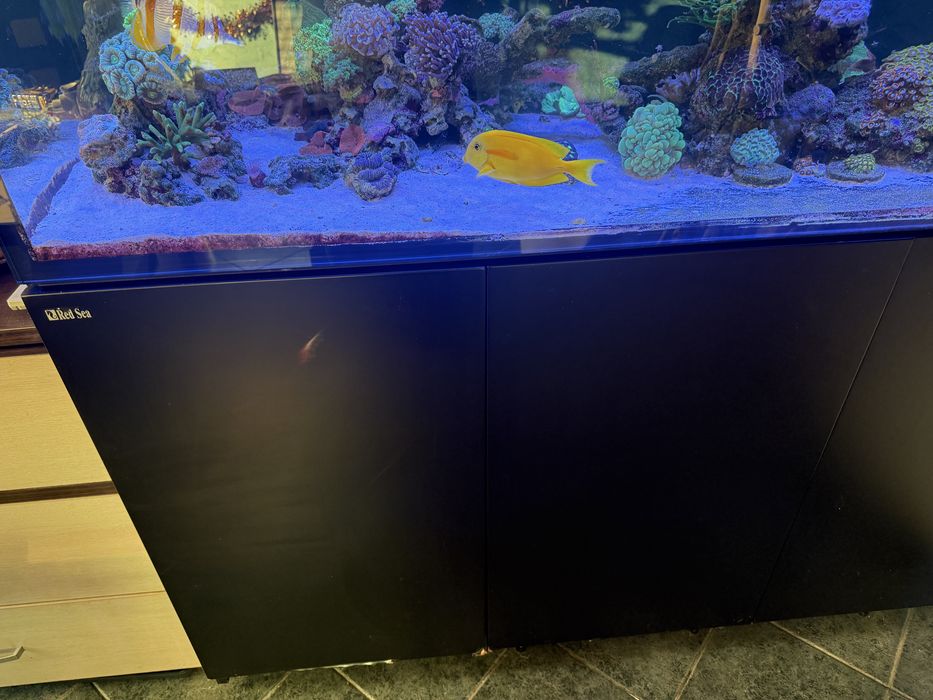 продавам морски аквариум