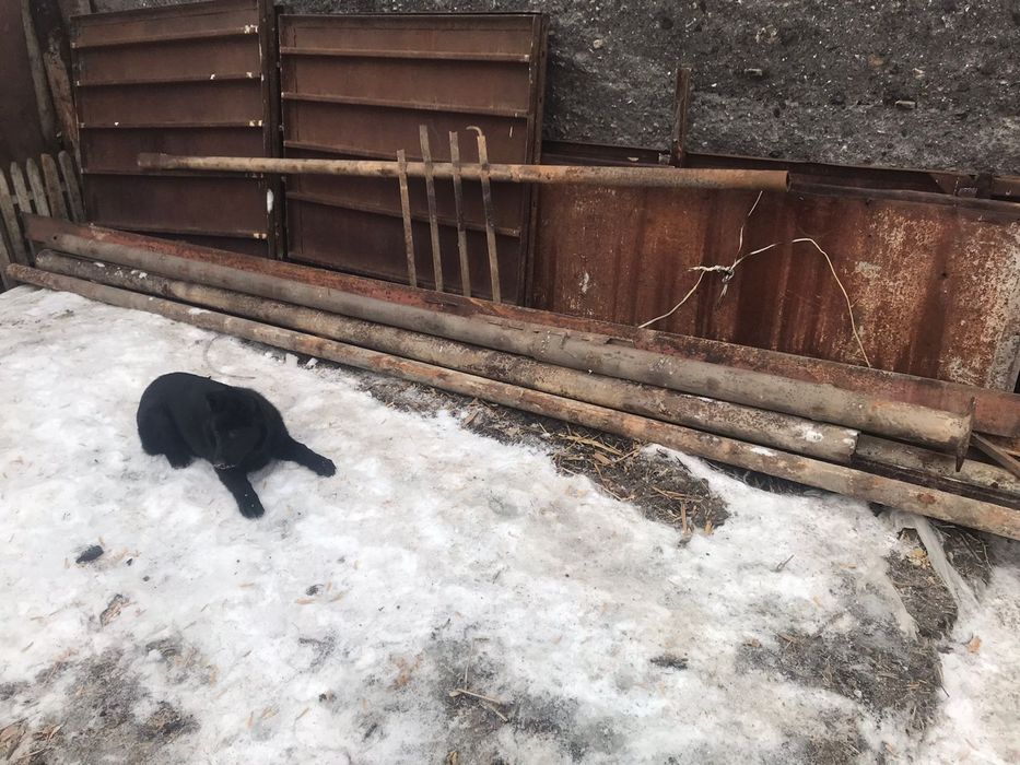 Щиты металлические