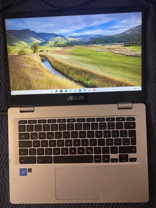 Asus chromebook C423NA/C403NA