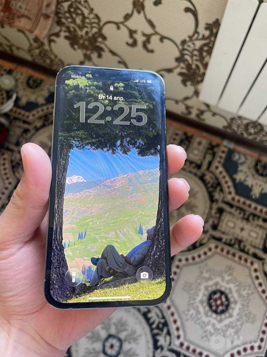 Iphone 13 pro max