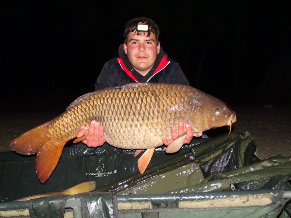 Monturi pescuit crap