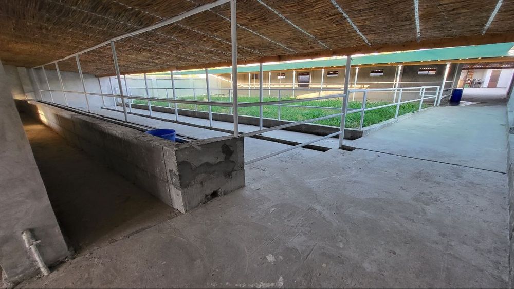 Очень срочно продается готовая ферма 20 соток Янгиюль по трассе м39