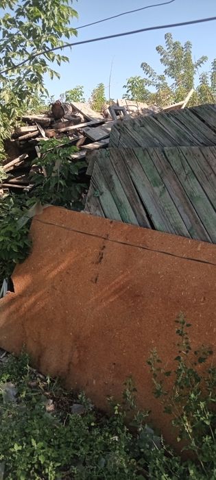 Отынға арналған ағаш